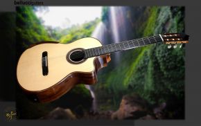 Brazilian Rosewood B&S Spruce Top Cutaway 30%OFF