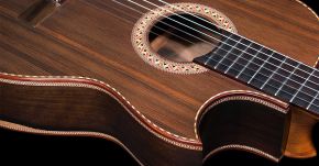 New Featured Guitar Model: Typhoon Guitar