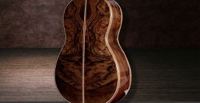 Amazing Bastogne Walnut Guitar