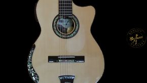 Gloria: Erik J Heinrich's Dream Come True Guitar