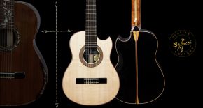 SMALL BODY GUITARS