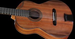 New Custom Tiger Guitar Shipped to Greece