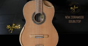 NEW Custom ZEBRAWOOD Doubletop